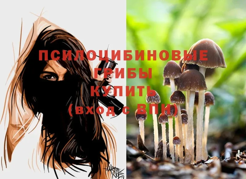 Галлюциногенные грибы Magic Shrooms  где продают наркотики  ссылка на мегу ССЫЛКА  Дудинка 